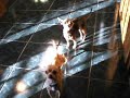 T-Cup Chihuahuas at play AGAIN!!!! T-Cup Chihuahuas at play AGAIN!!!!