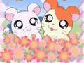 Hamtaro Theme Song (Cantonese Version)