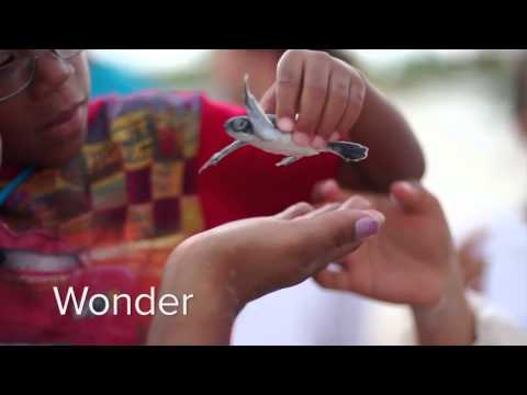 YesidoTravel with World Ventures YouTube Pitch Preview