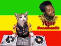Tiger - Boombastic