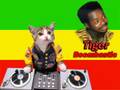 Tiger - Boombastic