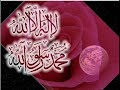 البالتوك,البرغوني,برنامج