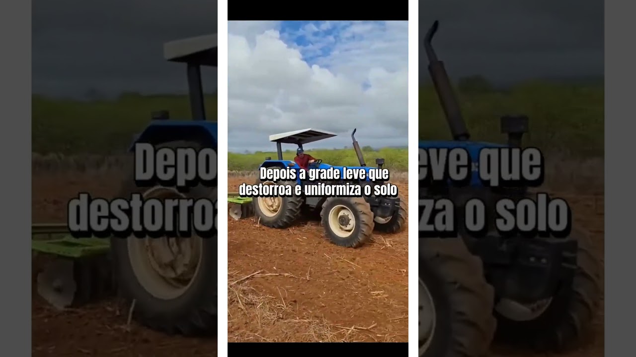 Dicas para plantio de culturas no Semiárido