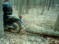 videos de LOG PULLING WITH TRAIL DIRT BIKE