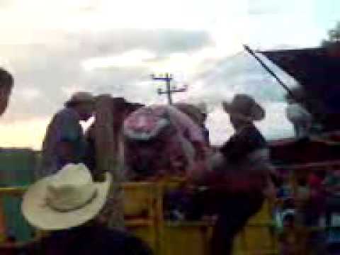 CHACAL VS CALCETO.3gp