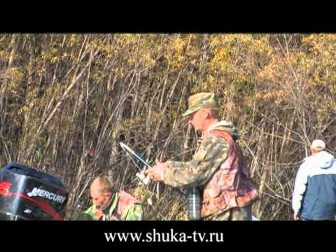 рыбалка в пчеловодной рыбалка в пчеловодной