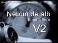 Emeric Imre - Nebun de alb V2