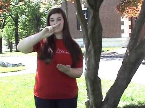 how to apply to wku honors college