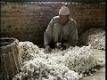 Kashmir Travel Doc - Part 02