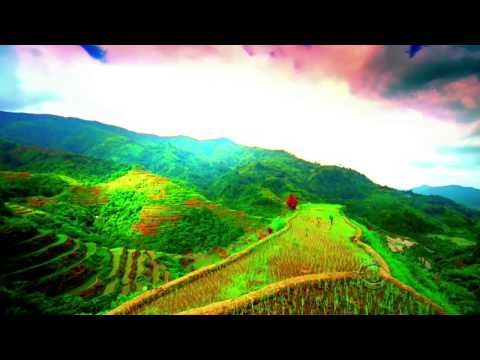 how to apply for survivor