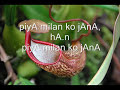 Piya Milan Ko Jaana (Song & Lyrics) Piya Milan Ko Jaana (Song & Lyrics)