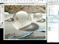 PhotoShop Glass Orb BEST method!