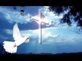 Gitano Culto Parrita