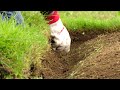 Creating the perfect garden edge