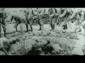 Iris ChangThe Rape of NankingA film by Bill Spahic and Anne PickWORLD TELEVISION PREMIERE:The producers are pleased to announce that History Television in Canada is going to broadcast 