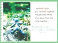 Red-Tug & a Harp