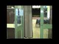 videos de Big School