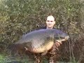 world record common carp