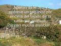 El eslab�n perdido