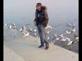 amilcare