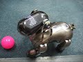 My Aibo