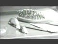 La Guardia - El mundo tras el cristal