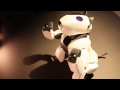 Maya performing one of the pre-programmed dances created by Dasarobot - 