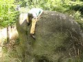 Ohn? - Hornopo?�rsk� les