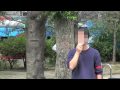排外主義,外国人排斥,人種差別