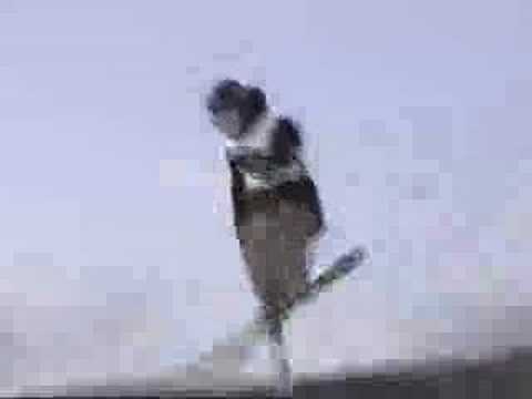 2008なまら一発杯(公開練習)