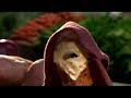 Organic Food VS Chemical (Parody) Organic Food VS Chemical (Parody)