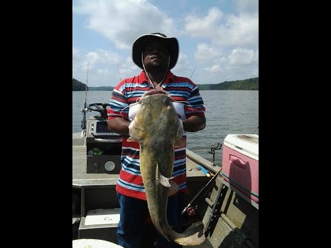 ways to catch catfish