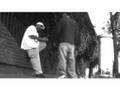 Tommy-Ess KRENK VIDEO DBG