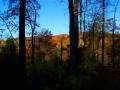 videos de Riversong Subdivision Lots for sale