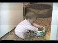 videos de 88 Mel in Dog Bowl