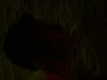 Thumbnail #1