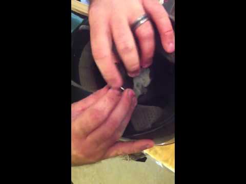 how to fasten helmet chin strap