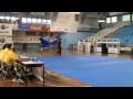 Andre Fandiño daoshu - cto. gallego wushu 2009
