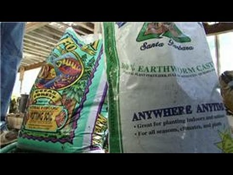 how to fertilize vegetables