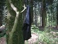 mens pants