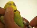 • Die Gesundheit der Tiere liegt Dr. Specht am Herzen