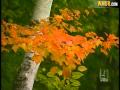 Visitors See Spectacular Fall Colors