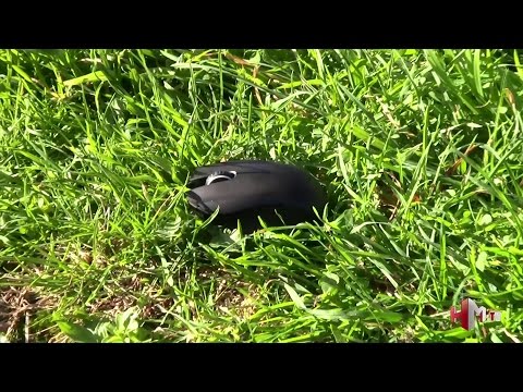 Imagen de previsualización de YouTube