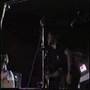 The Hippos - Forget the World (live)
