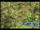 WebMove.com.br/FIAT/Ale Eduardo Cunha Rally Team