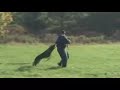 Allegheny County Port Authority Police Department K9 Unit