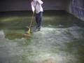 www.concreteideas.com - How to acid stain a floor