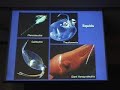 Macro Evolution in the Deep Sea pt 4 of 7
