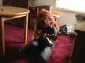 Trevor Guitar Trevor Guitar