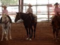 Bailey and Invitation for Chip (Goose)